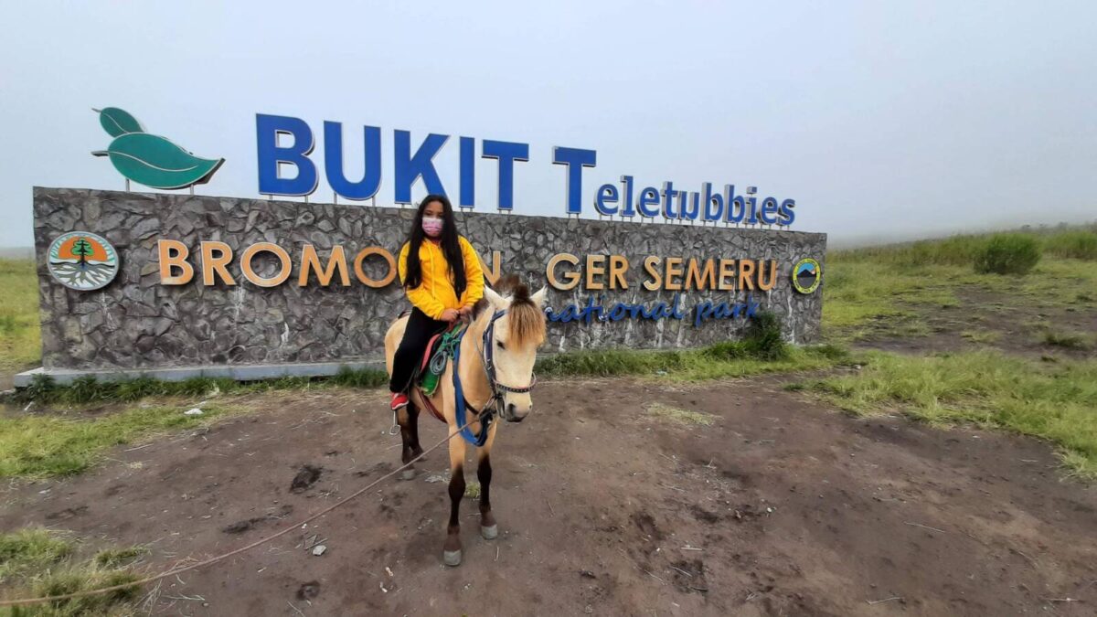 Kuda di Bukit Teletubbies