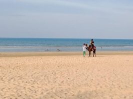 Kuda di Pantai Lombang