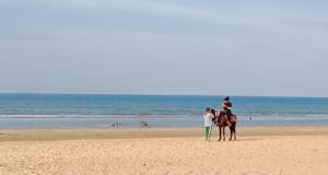 Kuda di Pantai Lombang