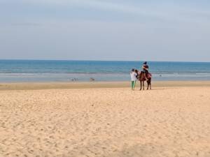 Kuda di Pantai Lombang
