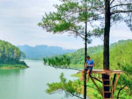 menikmati bentang alam danau ranu gumbolo dari gardu pandang