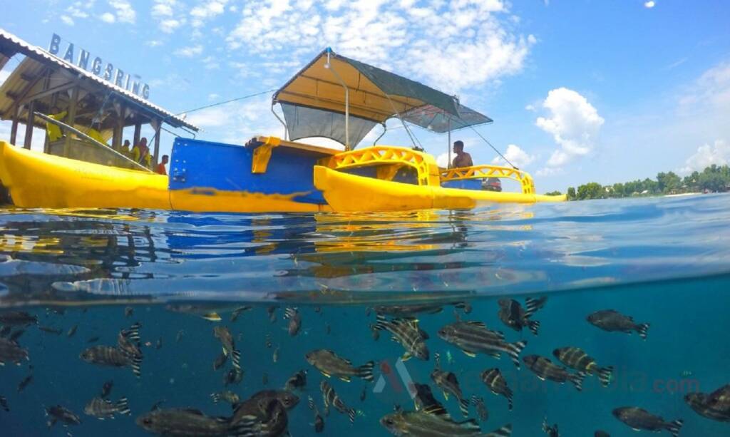 Bangsring Underwater tempat wisata di Banyuwangi bagi penyuka alam bawah laut