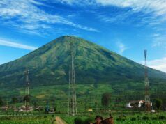 Petani yang Sedang Mengangkut Hasil Panen