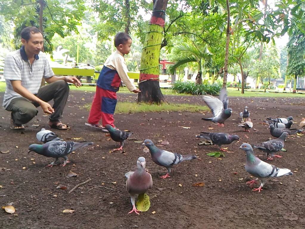 Pengunjung yang memberi makan burung merpati