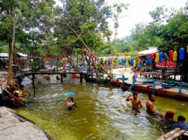 Pengunjung yang sedang berenang di Sungai Hijau