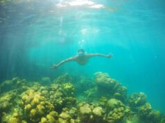 Pengunjung yang menyelam di kawasan Pulau Pamutusan