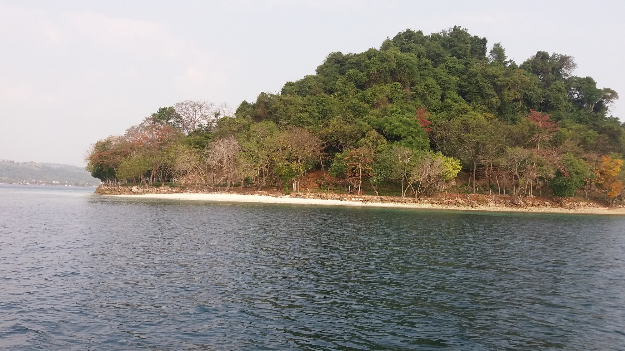 Pulau Condong yang Berlokasi di depan Pantai Pasir Putih
