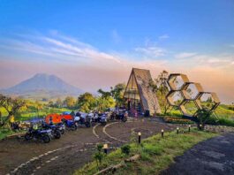 Bangunan cafe merbabu view berbentuk segitiga unik