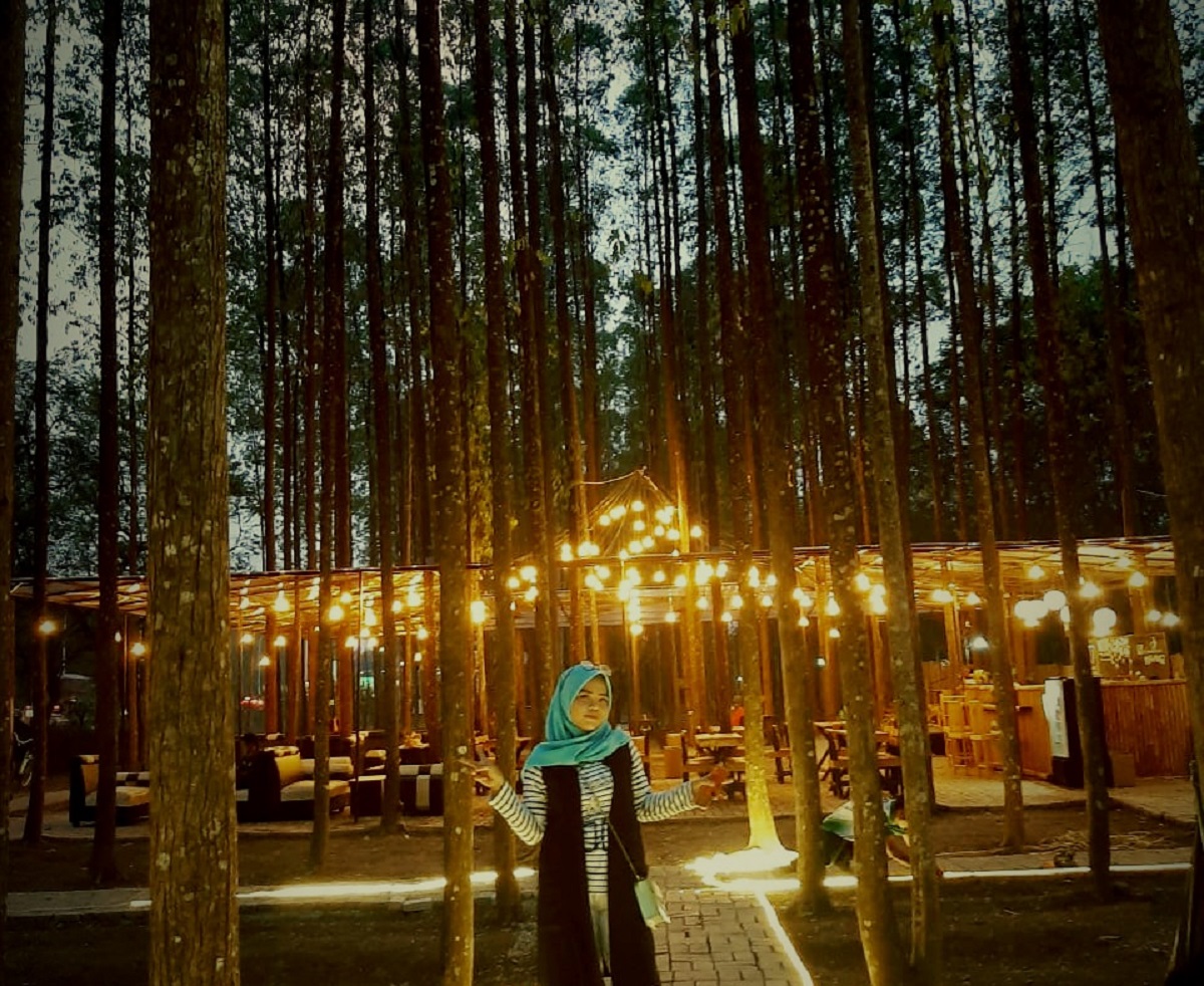 Eksotisme cahaya lampu di tengah rimbunnya Hutan Kertas Karawang.