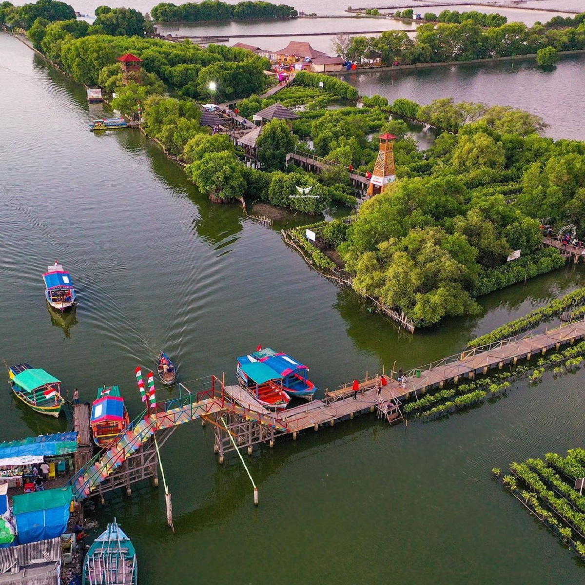 Jembatan Cinta Taruma Jaya Bekasi di kawasan hutan mangrove.