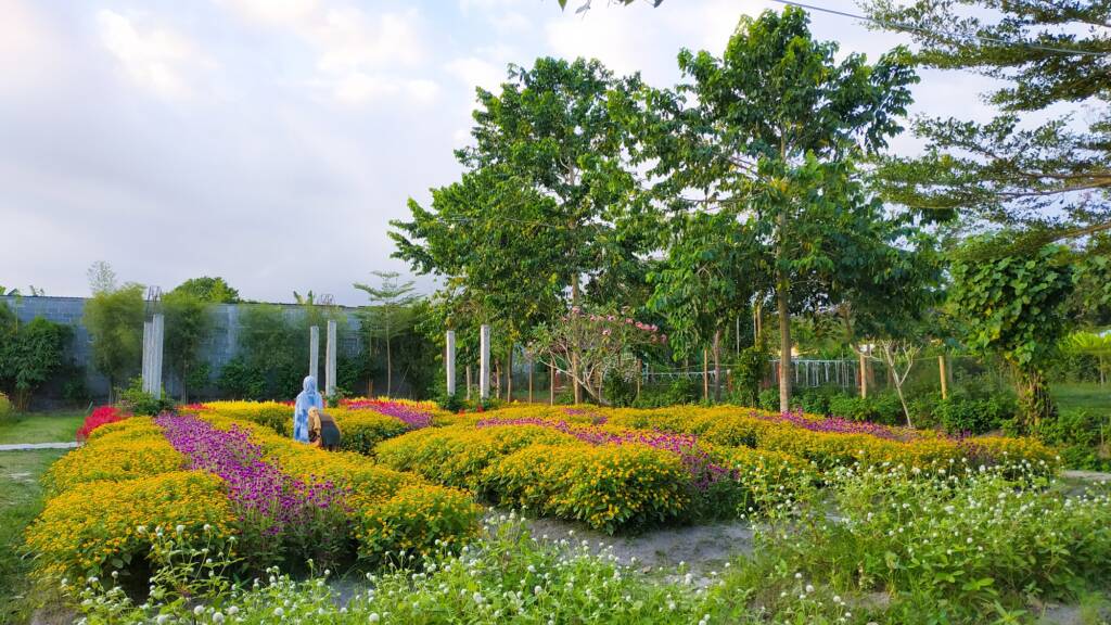 Kebun Bunga di Narmada Botanic Garden