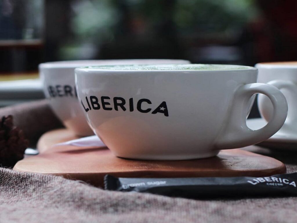 Minum kopi di Makassar ya di Liberica