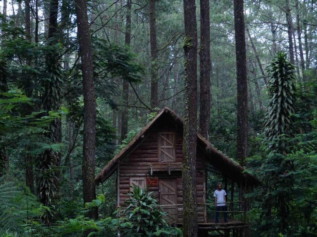 Rumah Pohon Kareumbi di Kawasan Konservasi Taman Buru Gunung Masigit Kareumbi Bandung.