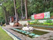 suasana hutan asri di Gunung Tidar Magelang