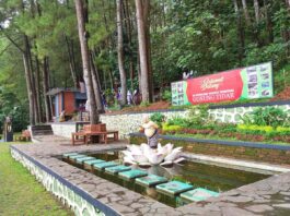 suasana hutan asri di Gunung Tidar Magelang