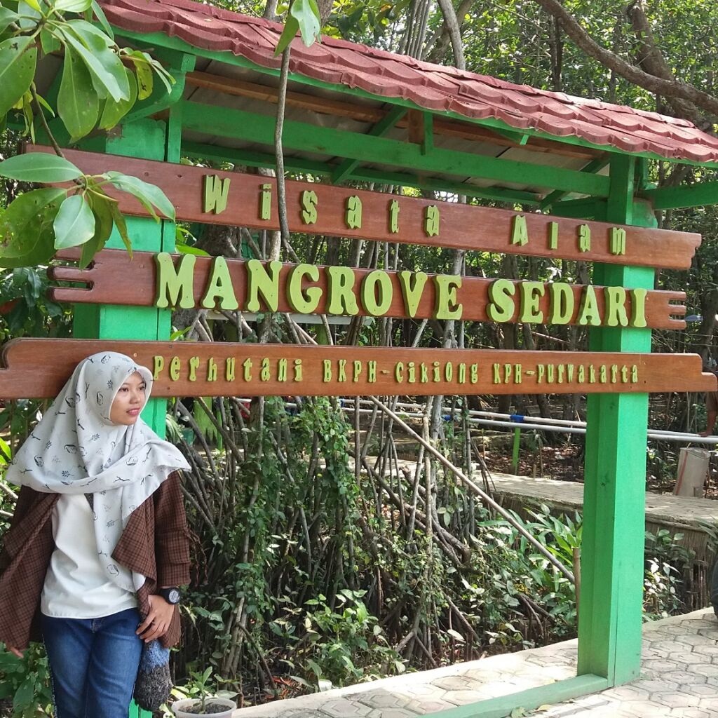 Wisata Alam Mangrove Sedari Karawang.