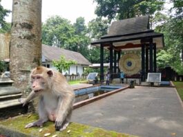 Wisata Ciung Wanara Ciamis menjadi rumah bagi berbagai benda dan lokasi cagar budaya.