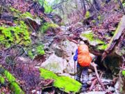 medan hutan berbatu jalur pendakian gunung patah