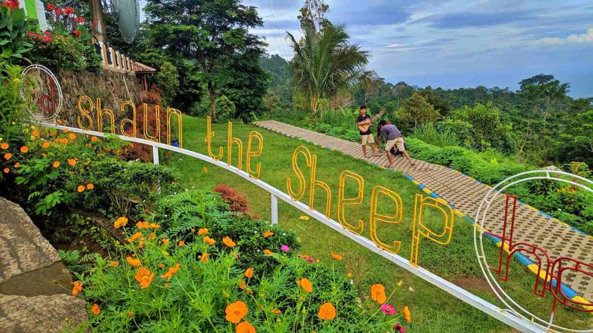 taman bunga di kampung domba