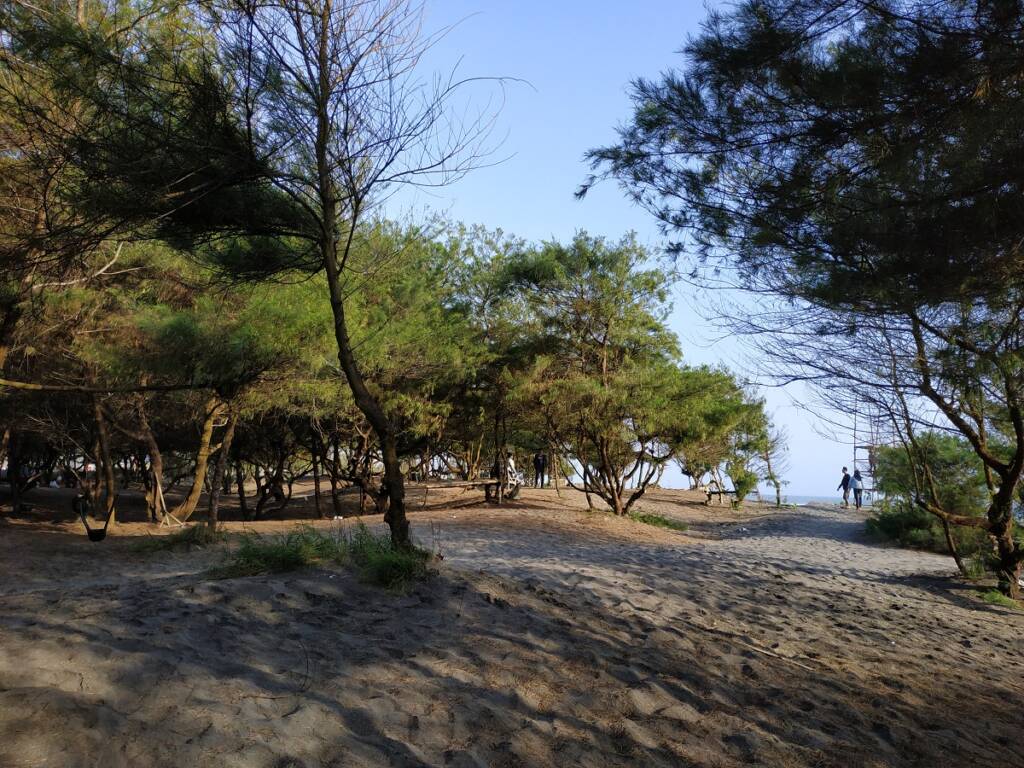 Pantai dengan pepohonan rindang di tepiannya