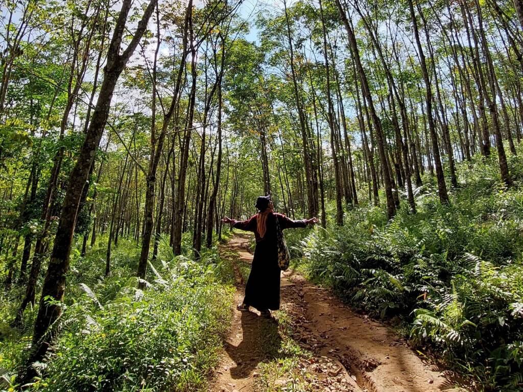 Hutan yang jadi akses menuju lokasi wisata Lorong Watu