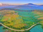 Pemandangan bentang alam perkebunan dan perbukitan new selo