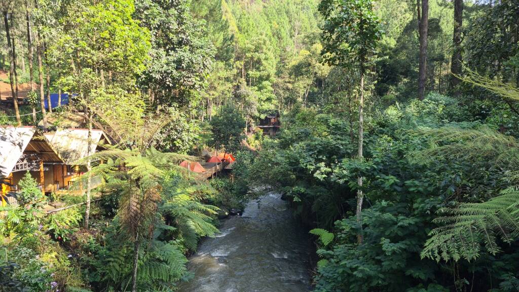 Sungai Bersih di tengah hutan pinus