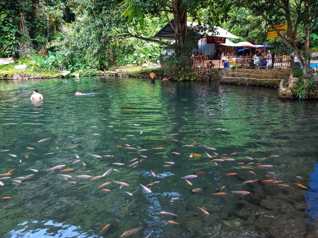 Sumber Mata Air Senjoyo menawarkan kolam alami dengan air yang sangat jernih