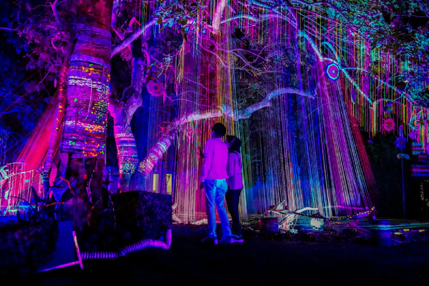 Hutan dengan sorot lampu warna-warni dari teknologi lampu LED