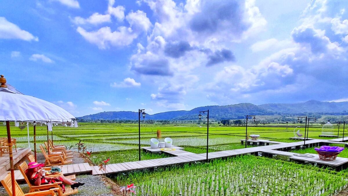 Pemandangan sawah dan perbukitan Manoreh di Mahaloka Paradise