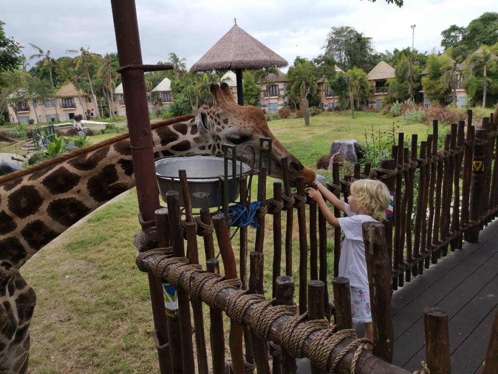 Bali Safari & Marine Park menjadi tempat yang tepat untuk melihat aneka satwa