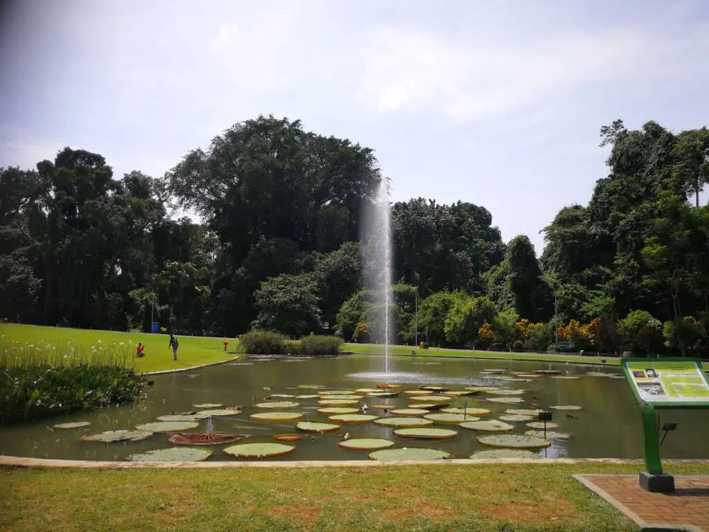 Kebun Raya Bogor, tempat piknik dengan pemandangan taman yang menawan