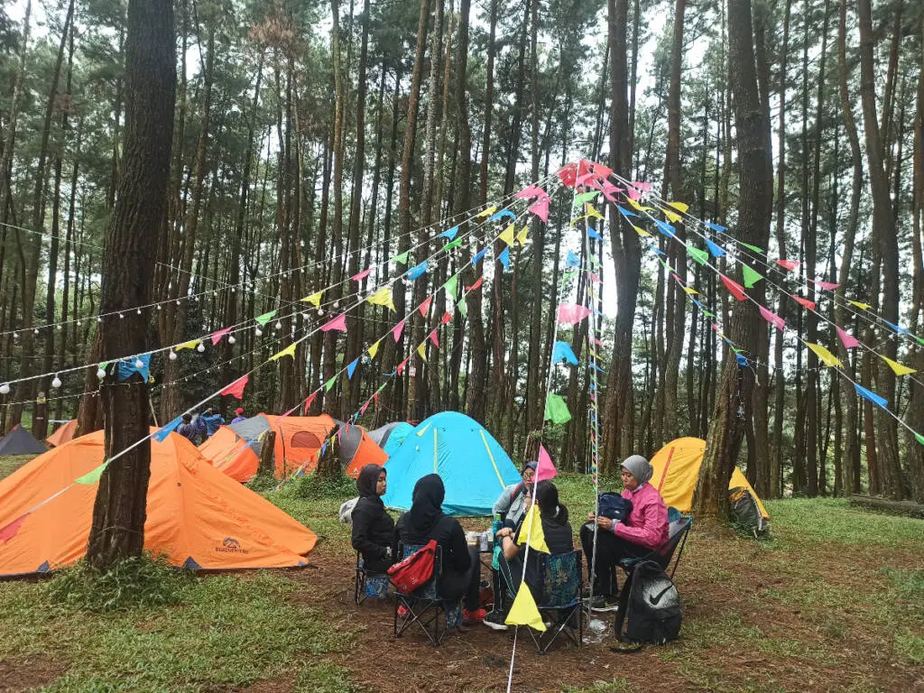 Pasirluhur Campsite menjadi salah satu lokasi berkemah di tengah hutan pinus di Bogor