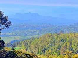 Panorama bentang alam lembah dan perbukitan dari Cemoro Kandang