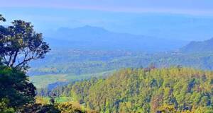 Panorama bentang alam lembah dan perbukitan dari Cemoro Kandang