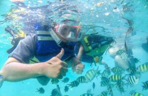 Snorkeling bersama Ikan Warna-warni yang Cantik