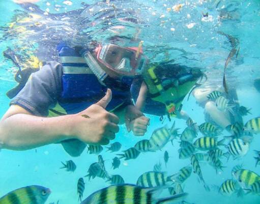 Snorkeling bersama Ikan Warna-warni yang Cantik