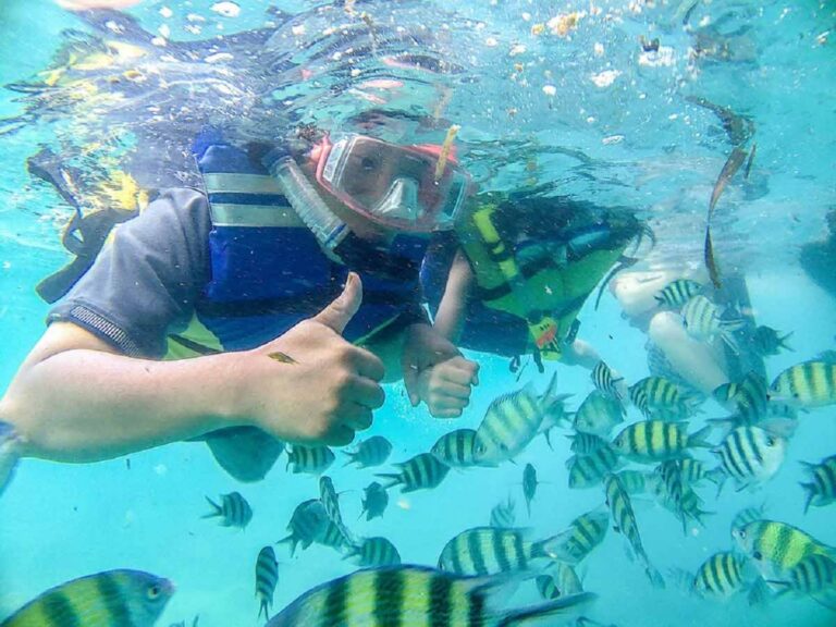 Snorkeling bersama Ikan Warna-warni yang Cantik