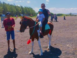 Berkuda di Pantai Cemara Puger