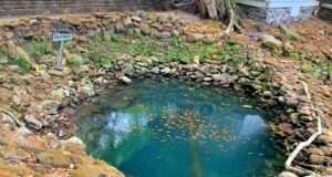 Sendang panglion salah satu kolam yang diyakini menjadi pemandian raja-raja dulu