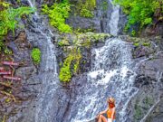 Aliran air terjun Gembleng Waterfall yang bertingkat-tingkat