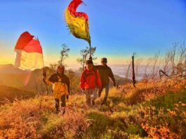 Pendaki menuju puncak Gunung Wilis