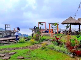 Pemandangan gunung berkabut di Jendela Langit Pasuruan