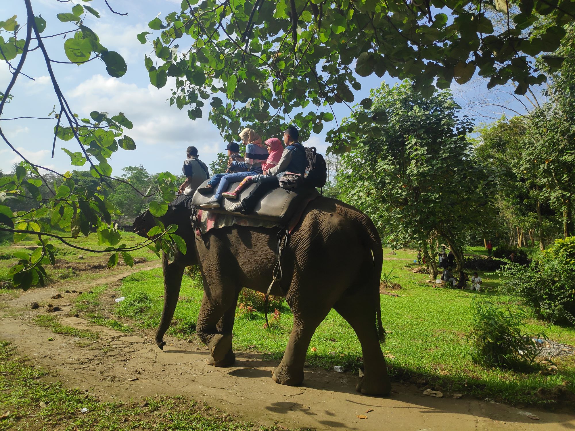 Pengunjung dapat merasakan sensasi naik gajah di Kebun Binatang Simalingkar Medan - Fery Malau