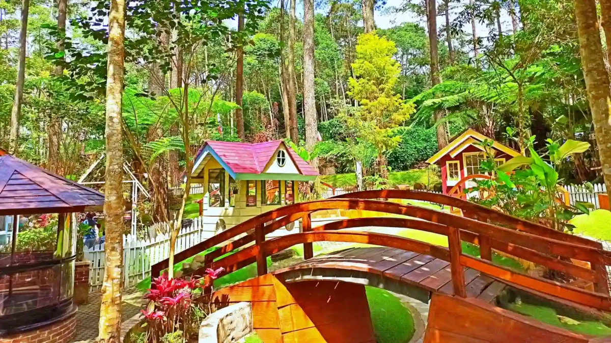 Suasana teduh di orchid forest cikole