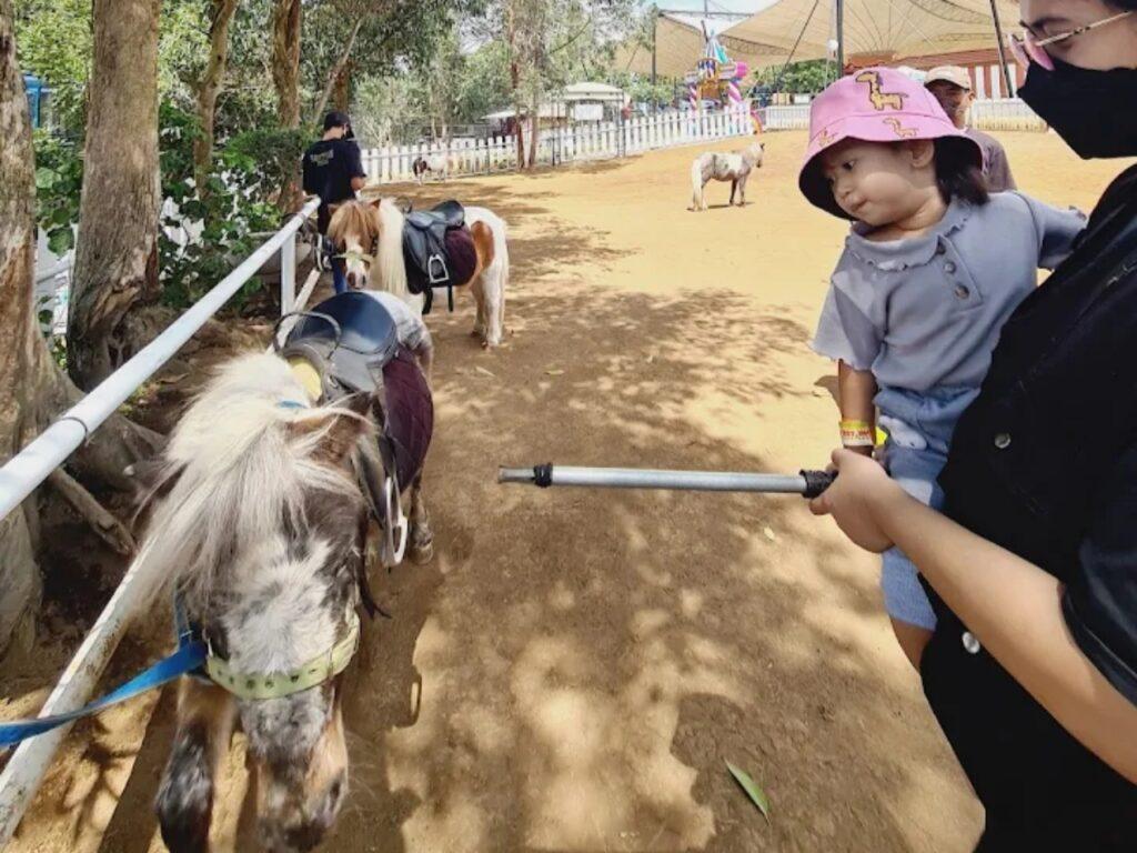 anak kecil dan orang tuanya sedang melihat kuda di Lembang Park Zoo