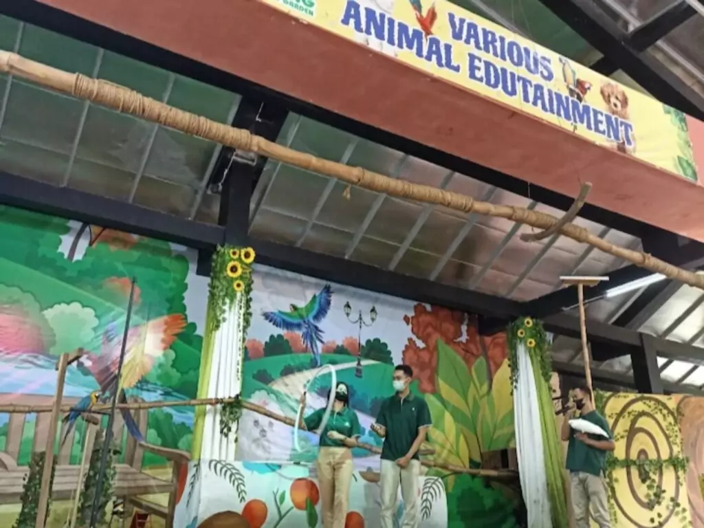 pertunjukan satwa kebun binatang Bandung