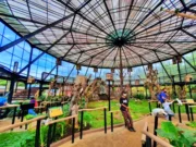 Wahana taman burung Bird Aviary di Lembang Park Zoo