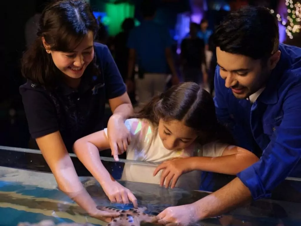 wahana touch pool Jakarta aquarium
