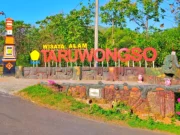 Pintu masuk wisata alam Taruwongso